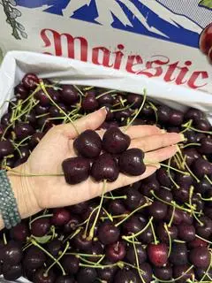 Hình ảnh Cherry Mỹ sz9 