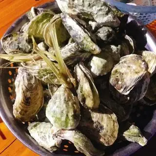 Hình ảnh Hàu Luộc 
