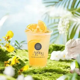 Hình ảnh Mộc sương