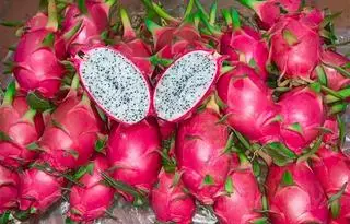 Hình ảnh Thanh long cắt sẵn