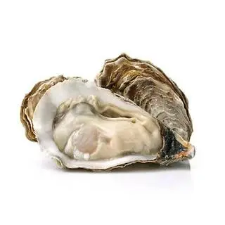 Hình ảnh Hàu Lớn 