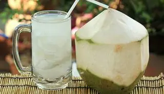 Hình ảnh Dừa xiêm LY