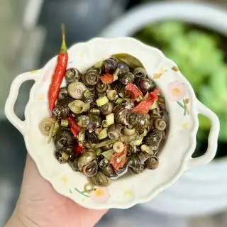 Hình ảnh Ốc hút