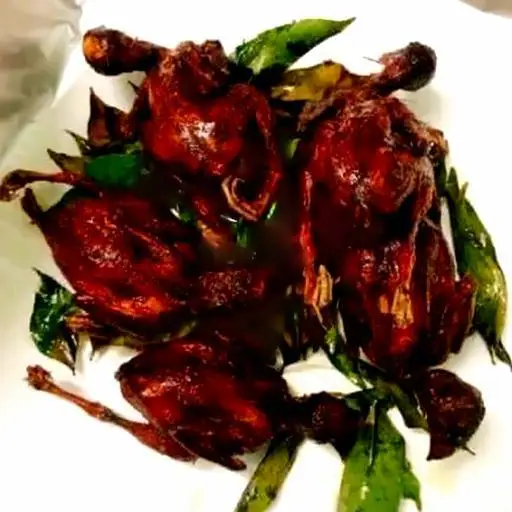 Hình ảnh Combo 4 nhỡ + 4  bé tặng 1 Cút Bé