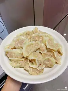 Hình ảnh Sủi Cảo Nhân Thịt Cải Thảo Xuất Thường (白菜肉末陷,中份)
