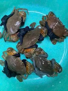 Hình ảnh Sét 5c Thịt Sống