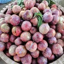 Hình ảnh mận bắc 1kg