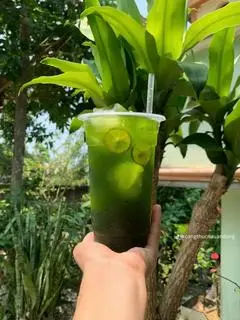 Hình ảnh Trà tắc Thái Xanh