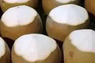 Hình ảnh Dừa trái