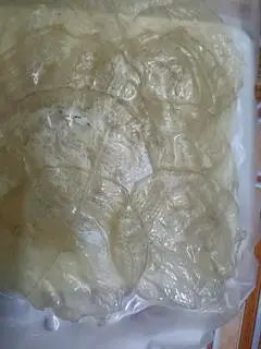 Hình ảnh cá bống miếng