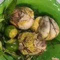 Hình ảnh 10 Trứng vịt Lộn Quả