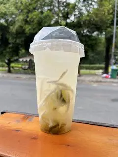 Hình ảnh Dừa Tắc Xí Muội