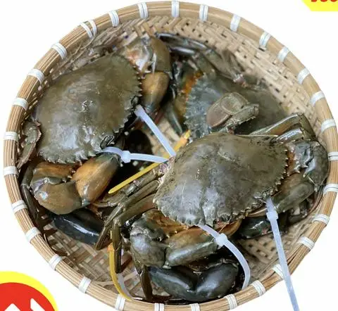 Hình ảnh Cua Thịt Song 4 con - 1kg