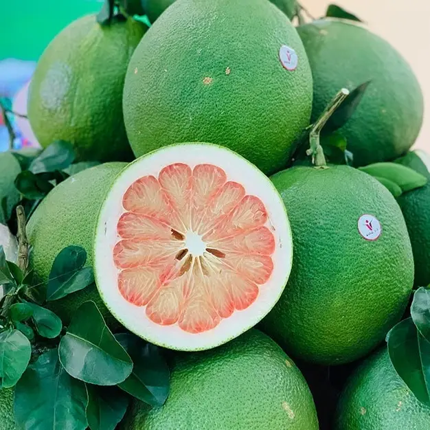 Hình ảnh Bưởi Da Xanh Bến Tre 1,8 kg