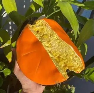 Hình ảnh Bánh sầu riêng phô mai (14cm)