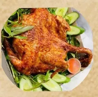 Hình ảnh Gà cô đơn 