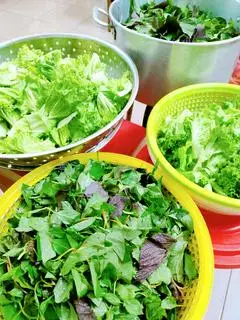Hình ảnh RAU THÊM ( tùy thời tiết + giá thị trường )