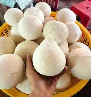 Hình ảnh Combo 20 trái- size 550- 610gr