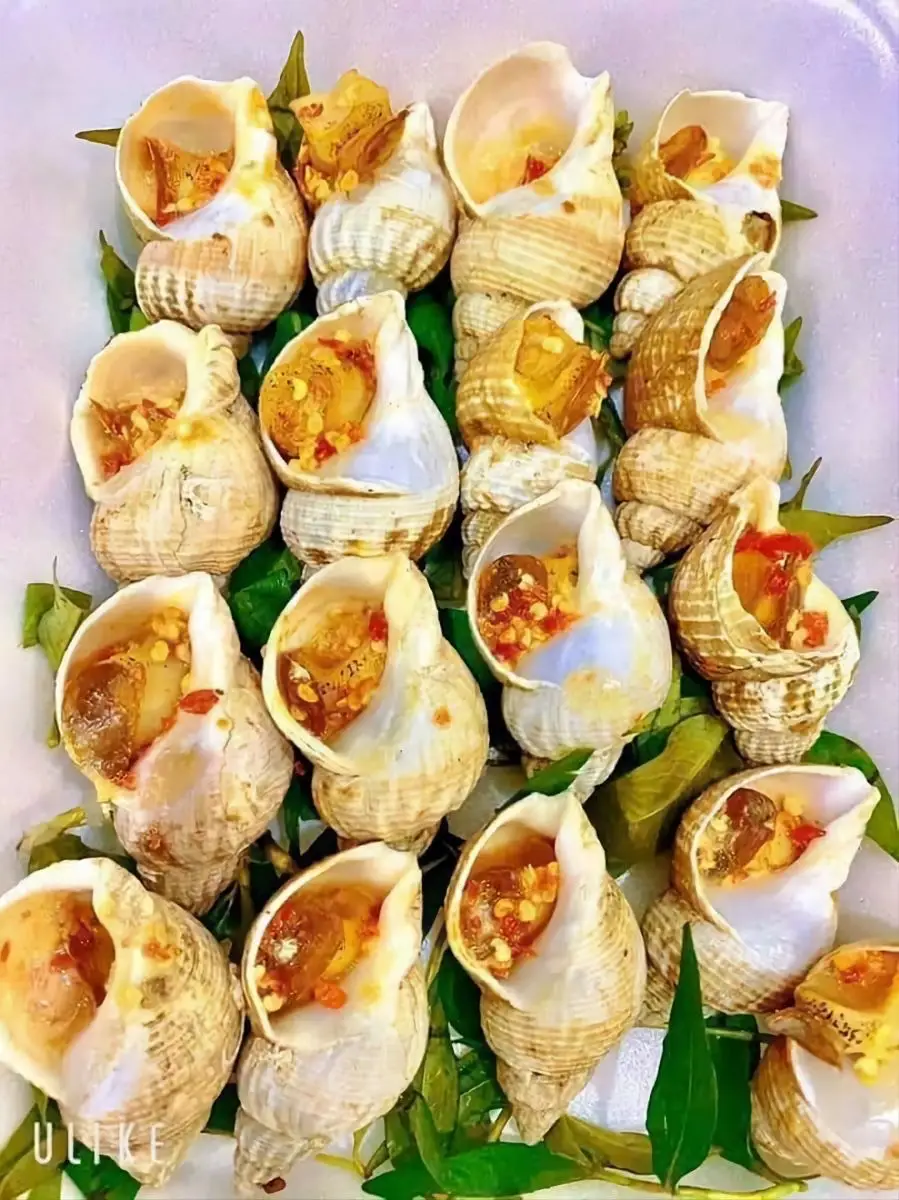 Hình ảnh ốc bulot nướng nước mắm 