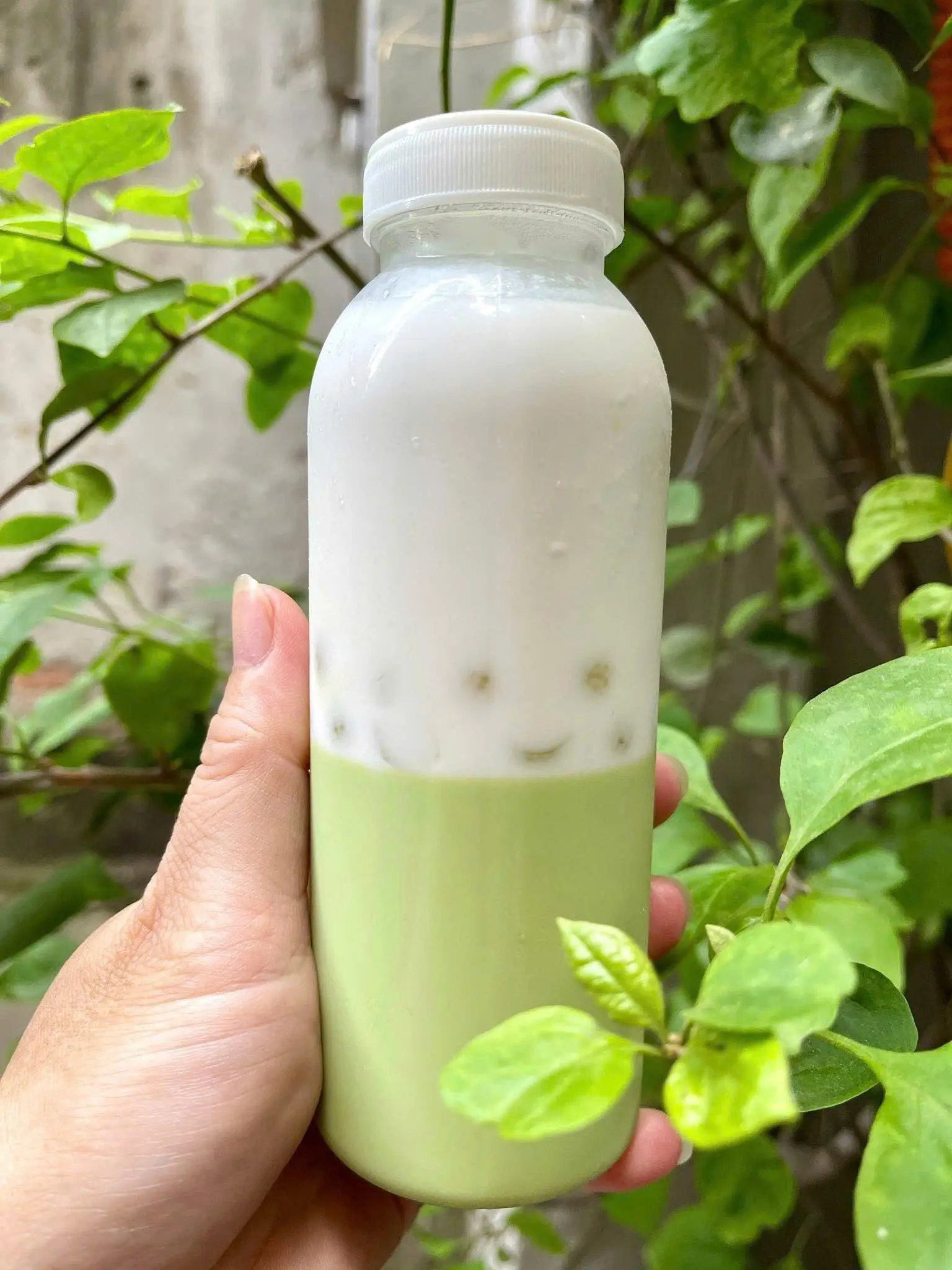 Hình ảnh Tàu hũ lá nếp cốt dừa 