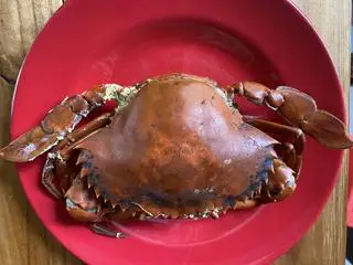 Hình ảnh Cua Cà Mau