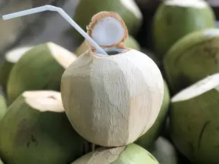 Hình ảnh Dừa Lạnh Trái