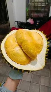 Hình ảnh sầu riêng nguyên quả bao ăn có bóc khay luôn