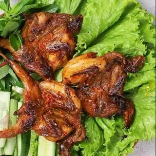Hình ảnh cút lớn