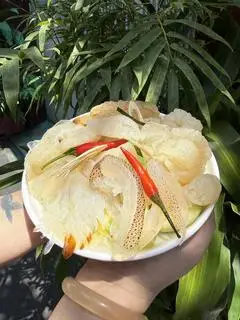 Hình ảnh Sứa mix 6(sứa đạn , cánh tiên, chân mèo, đạn nón, sợi, và sứa rong nho)