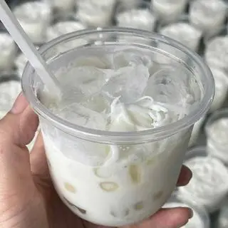 Hình ảnh CHÈ DỪA DẦM 