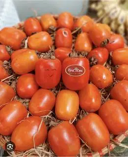 Hình ảnh Hồng Trứng Chín Đỏ