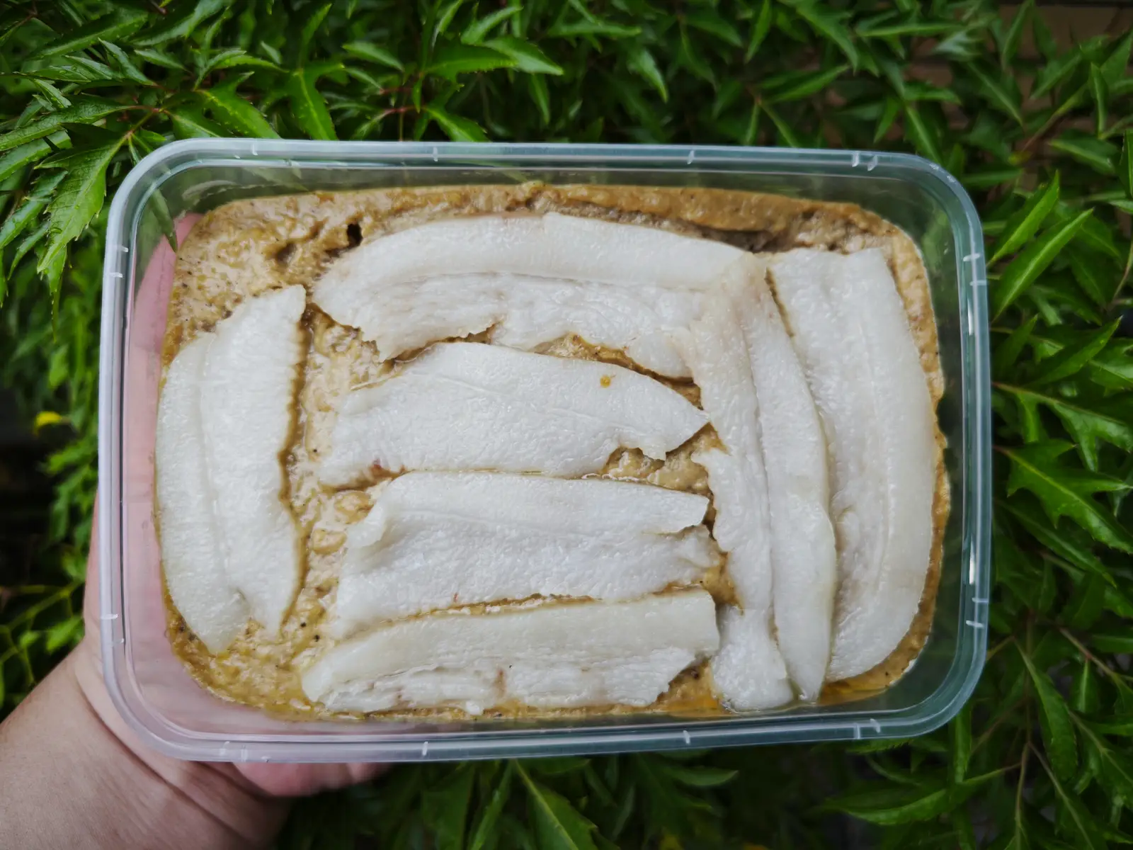 Hình ảnh pate gan hộp 500g