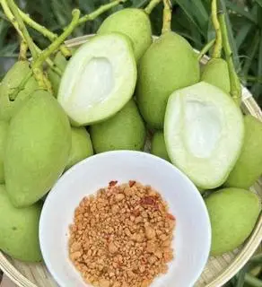 Hình ảnh Xoài non + muối tây ninh