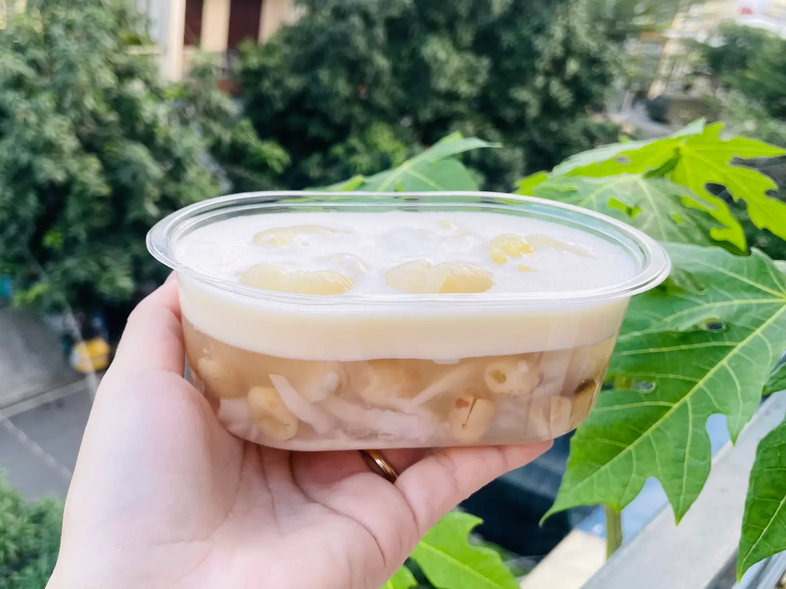 Hình ảnh Rau câu nhãn - hạt sen - kem cheese ( must try) - 450g