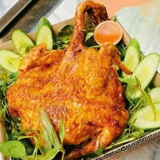 Hình ảnh Gà Cô Đơn.