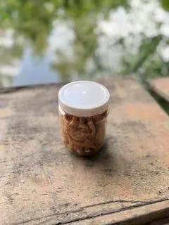 Hình ảnh Sườn chiên chay hủ