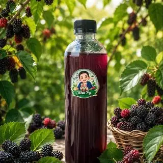 Hình ảnh Trà trái cây Kombucha vị dâu tằm 