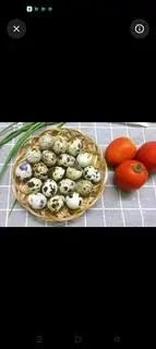 Hình ảnh 2 Trứng cút 