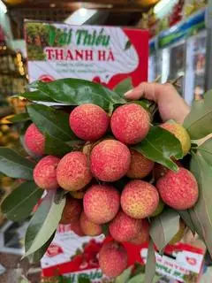 Hình ảnh Vải Thiều Lột Vỏ (Hộp 300g)