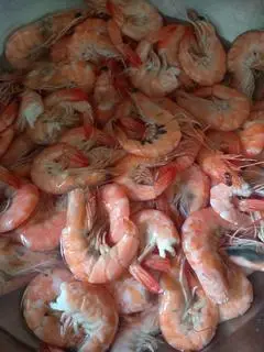 Hình ảnh bún thịt luộc đậu _tôm