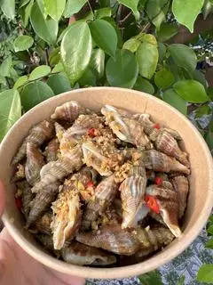 Hình ảnh ốc nhảy cày xào sa tế 