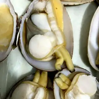 Hình ảnh Ngao hai cồi hấp xã