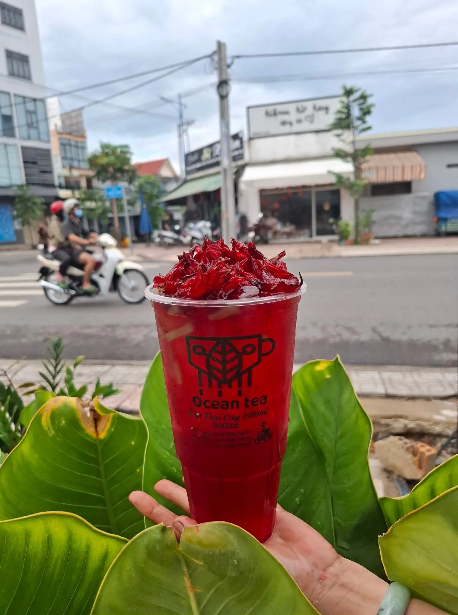 Hình ảnh Trà atiso đỏ