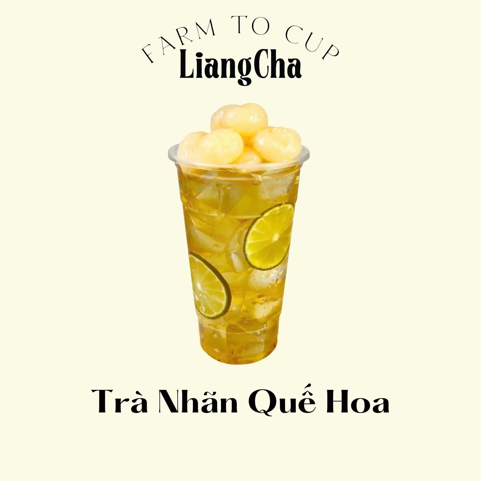 Hình ảnh Trà nhãn quế hoa