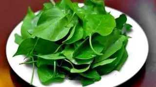 Hình ảnh Lá Giang Thêm
