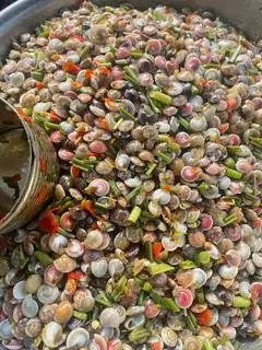 Hình ảnh Ốc ruốc miền trung size 45li - 300g