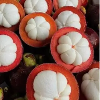 Hình ảnh Măng Cụt 