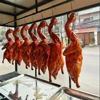 Hình ảnh VIT QUAY LÁ MÁC MẬT ,CHUẨN VỊ LẠNG SƠN
