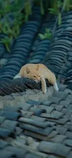 Hình ảnh Aloooo 0.55..99.05…045    Nếu Đơn Có Vấn Đề Xin Đừng 1* Cảm Ơn Ạ!!!!!