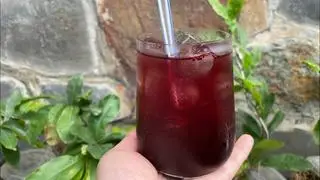 Hình ảnh Trà Việt Quất Hobo